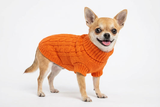 Pletený svetr pro psy – Orange