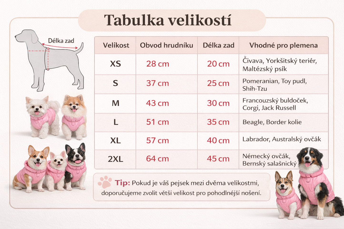 Zimní bunda pro psy | Teplá a voděodolná