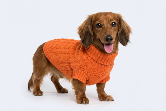 Pletený svetr pro psy – Orange